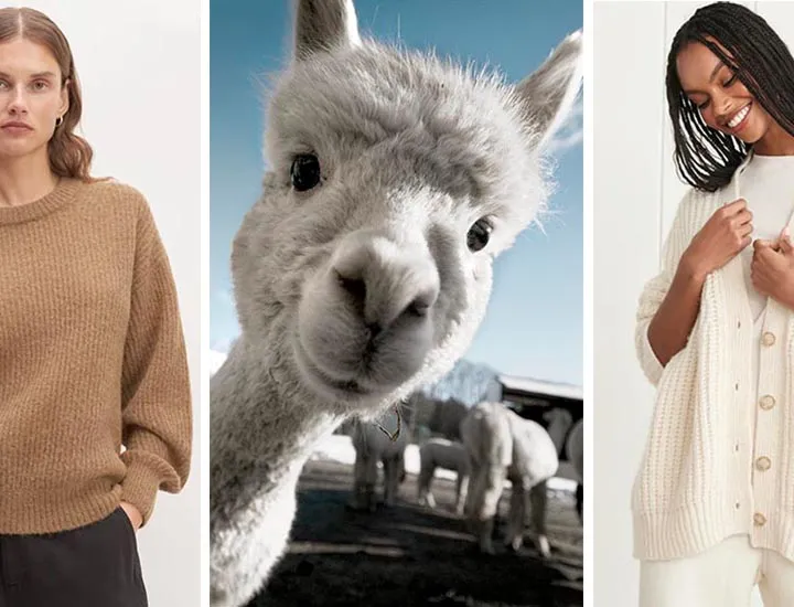 7 Luxurious Alpaca Wool Pullover Sweaters That’ll Finally End Your Sensitive Skin Struggles
